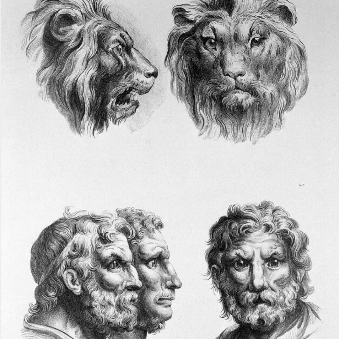 How does your creativity competence help you make unexpected links?